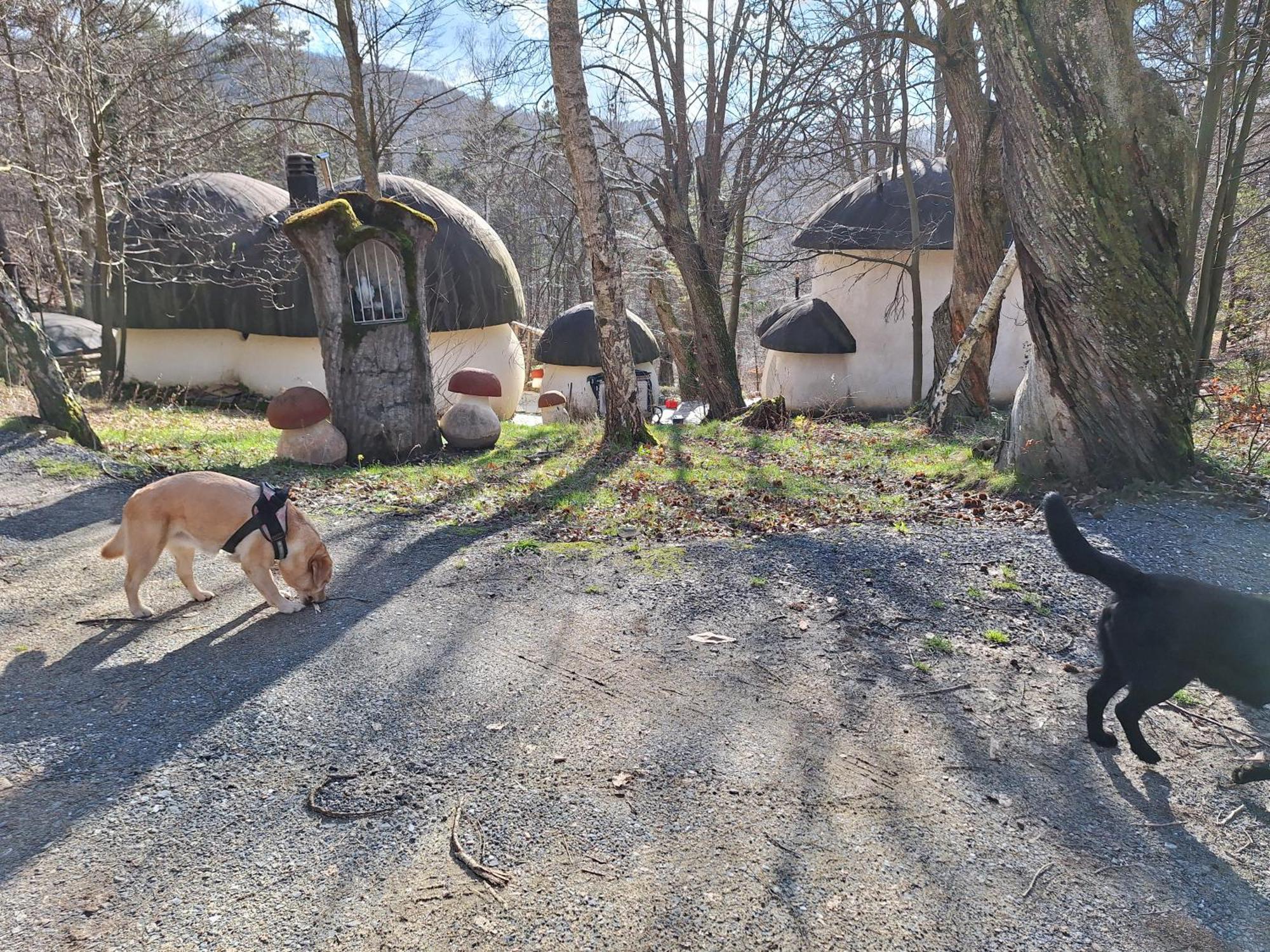 Il Villaggio Dei Puffi Бардинето Экстерьер фото